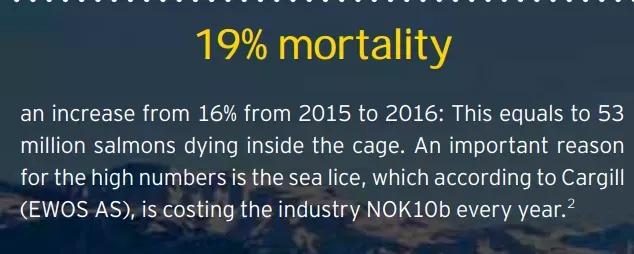 别吃了！三文鱼养殖场黑幕曝光：鱼身溃烂、扭曲畸形、真菌感染