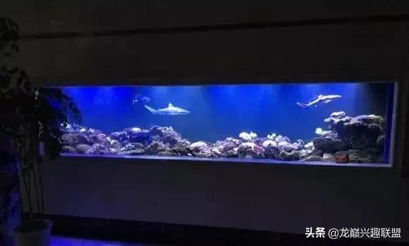 楸肩几濡傛璞皵,楂樼楸肩几椴ㄩ奔