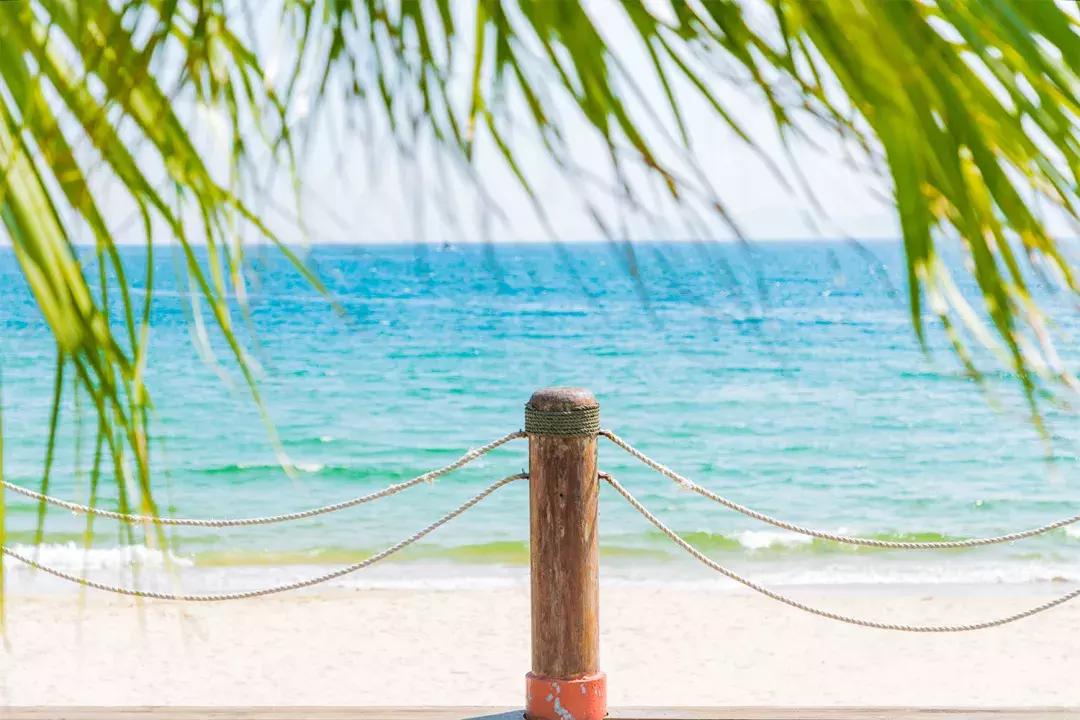 深圳十大一日游景点,深圳十大免费公园景点大全