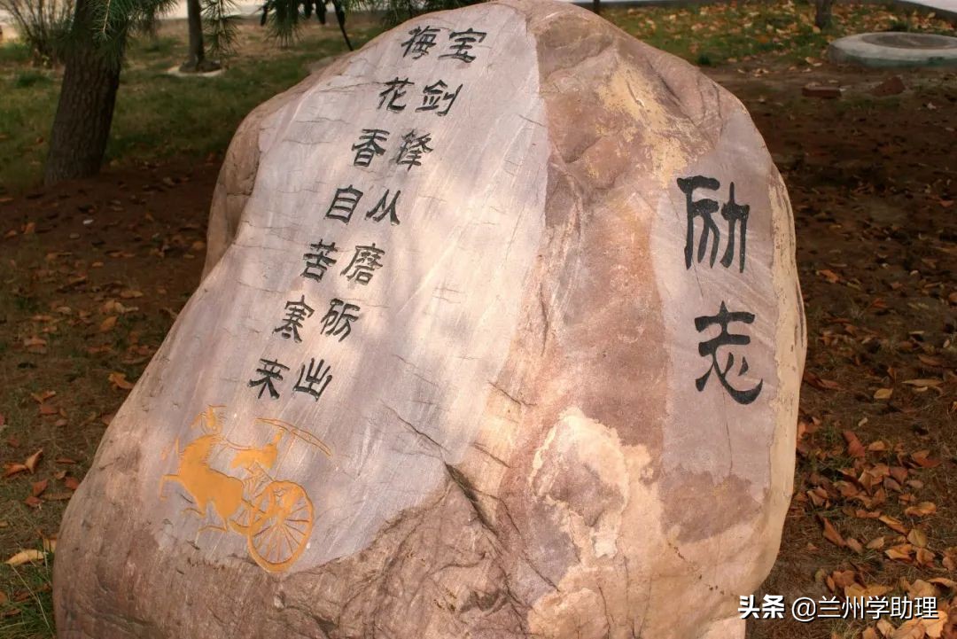 2023兰炼一中自主招生录取名单,2020年兰炼一中高考光荣榜