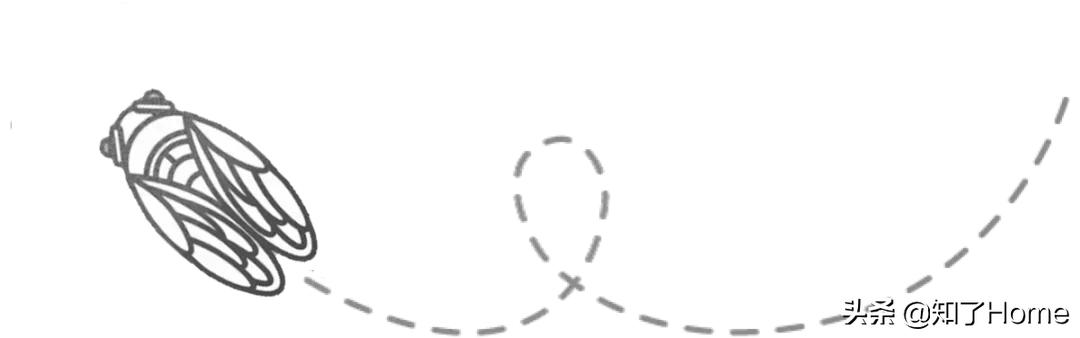 剧变之后聚变来袭后疫情时代的春天它来了