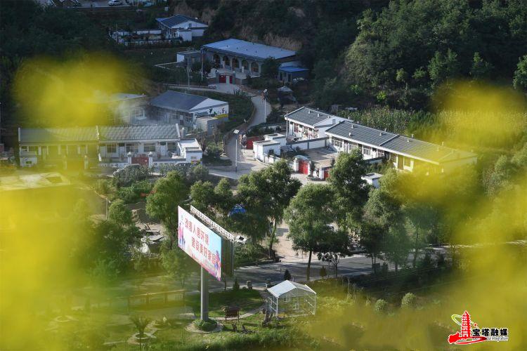 鍔涢噺2020,鍔涢噺2022