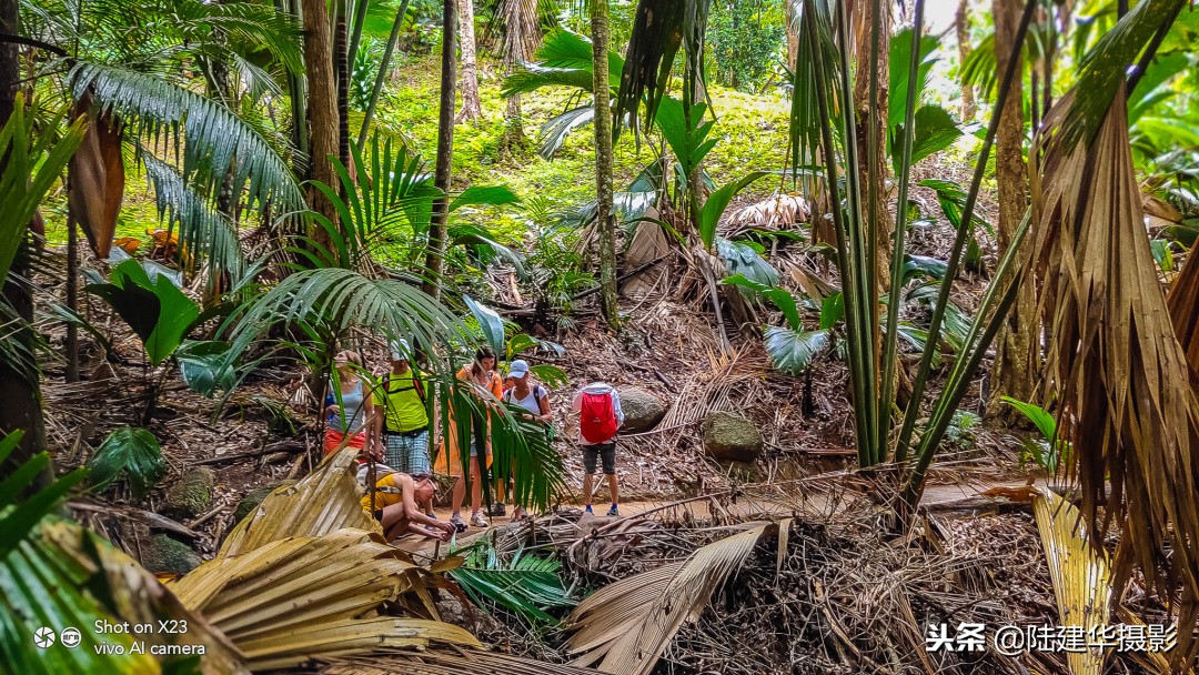 塞舌尔克里奥尔人,人间伊甸园云赏奢华度假地塞舌尔