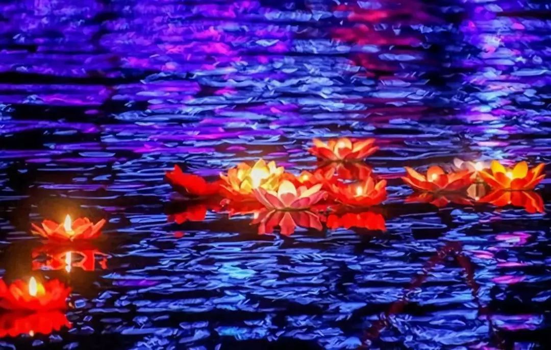 2019小榄菊花展美食街在哪,小榄菊花展门票免费