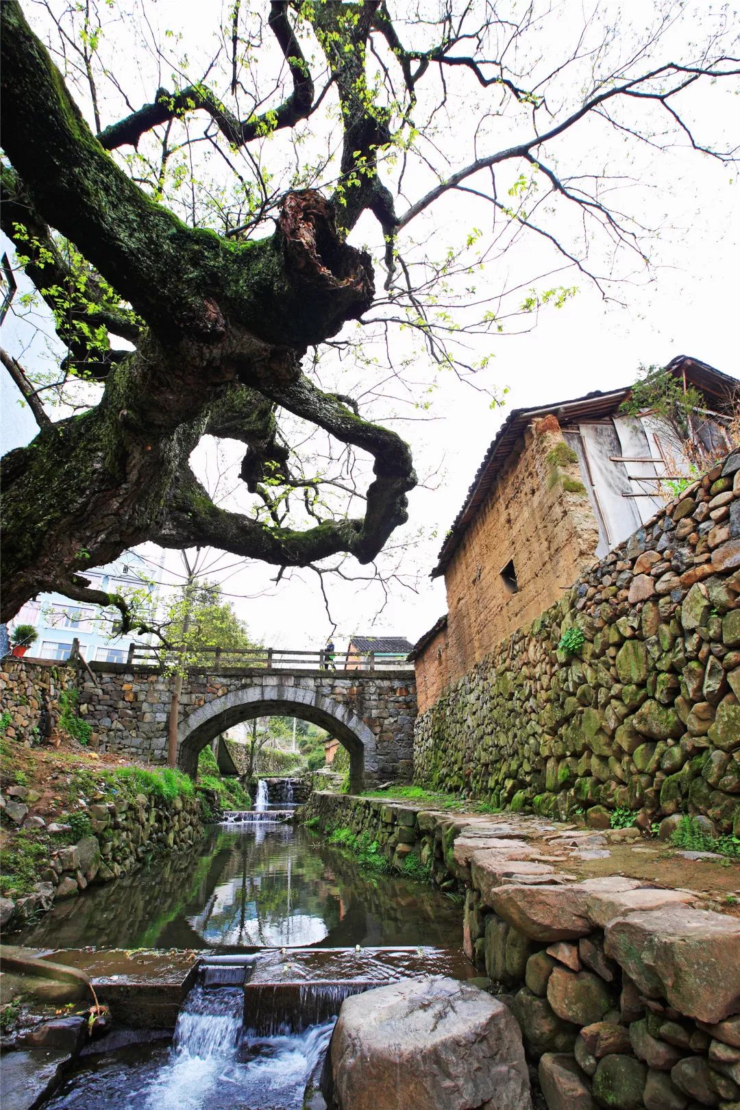 宁海休闲旅游,冬天宁海周末一日游最佳去处
