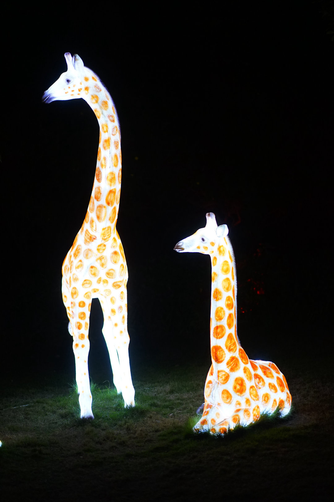 森波拉森林景区,广东清远森波拉旅游度假区