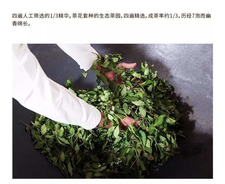 安溪感德正味铁观音捡漏,安溪感德高山正味铁观音文案