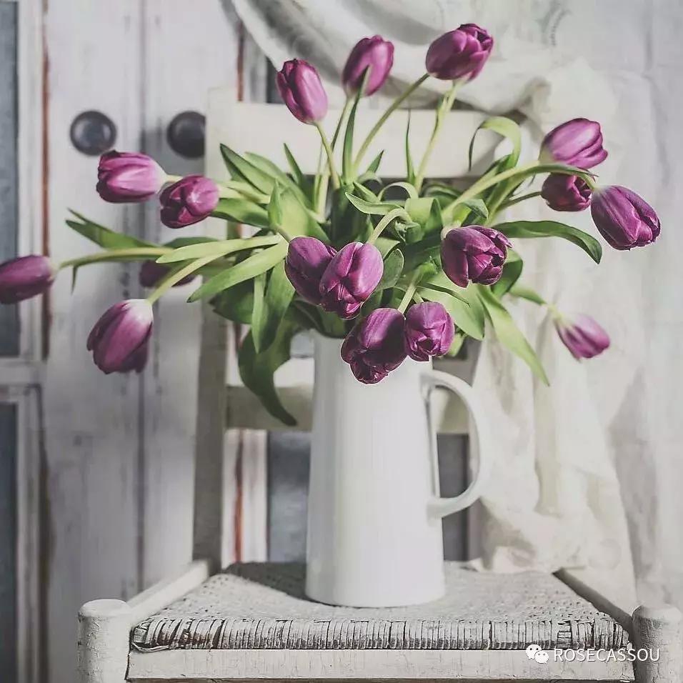 西柚慕斯郁金香花语,蕾丝郁金香花语