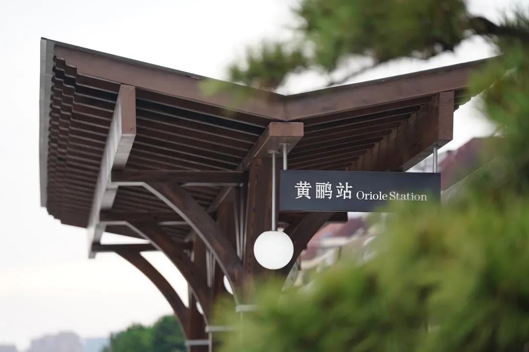 高铁沿线100米拆除违建,高铁旁边违建怎么举报