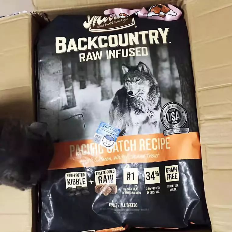 家有狗子,家有狗子视频完整版