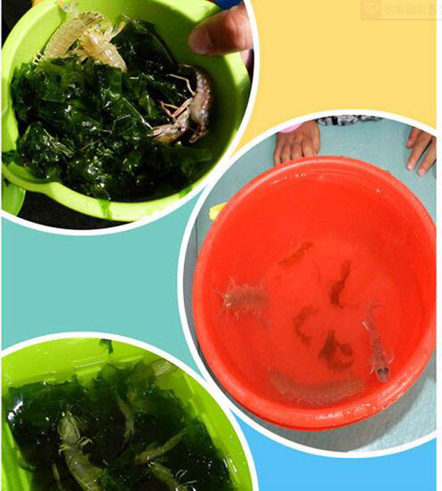 一轮骄阳升日照，二夜美梦伴海涛，三天渔家海鲜饱朋友同行欢笑多