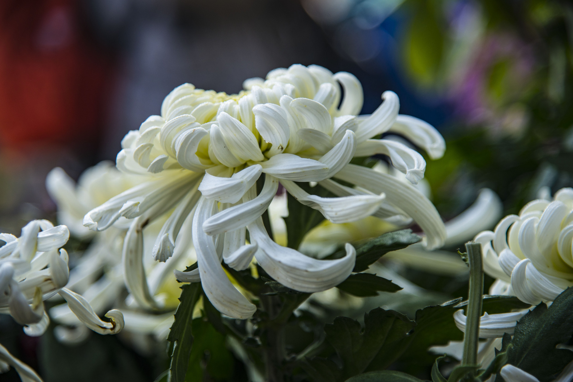 微信好友借钱不还怎么办,微信上借钱给别人不还怎么办