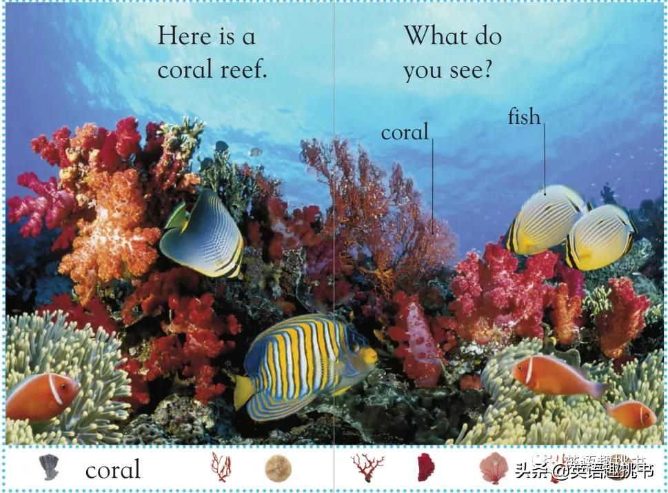 如果要推荐一本书要怎么推荐才好,如果一定要看一本书应该看什么书