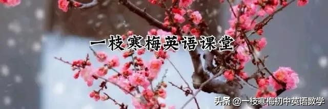 人教版九年级总复习语法的讲解,人教版九年级全册语法要点