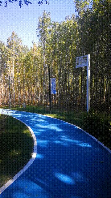 廊坊三叶公园项目信息,廊坊三叶公园附近