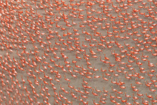 多重曝光实例拍摄讲解,精彩照片制作视频