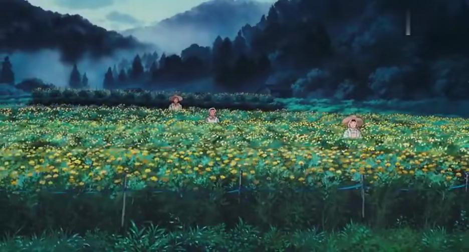 宫崎骏笔下的红花到底是个怎样的植物？