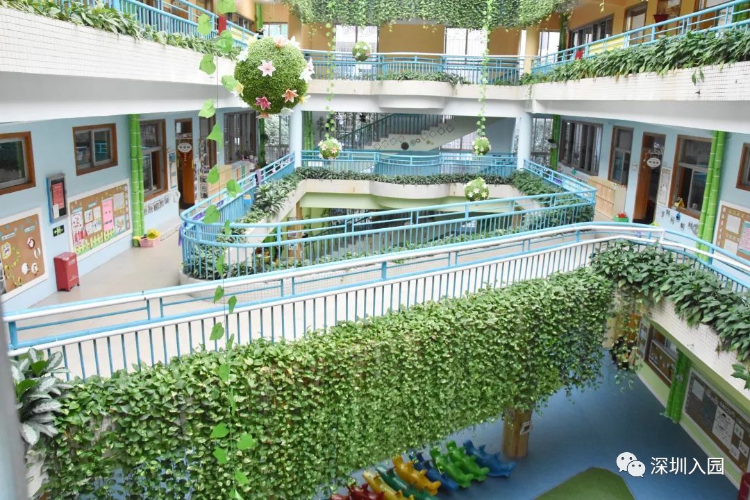 深圳幼儿园示范园入学条件,深圳100所幼儿园排名