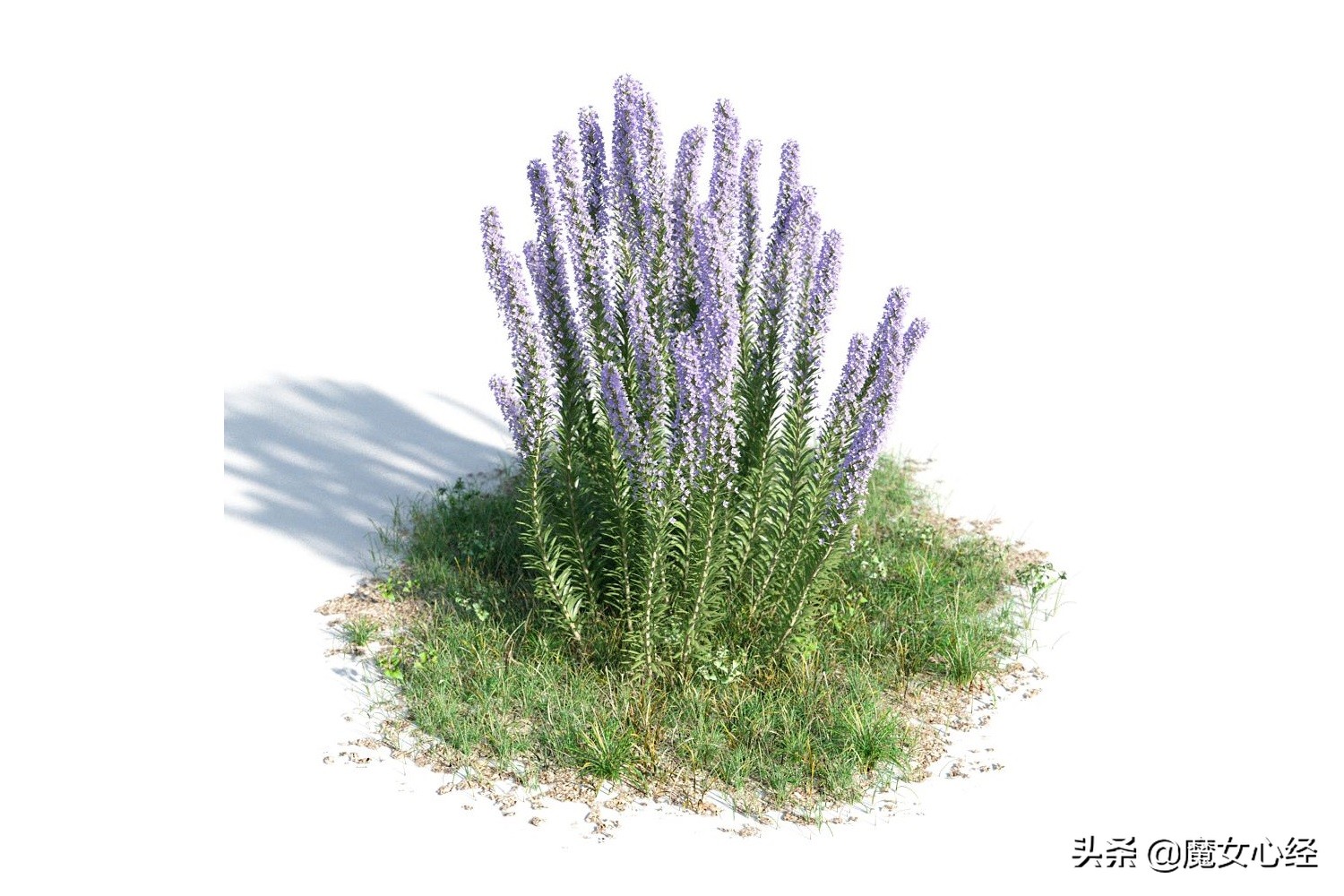 舒缓型护肤品主要功效是什么,修复镇静舒缓肌肤护肤品的卖点