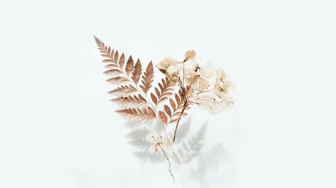 教育叙事美篇,教育叙事的优缺点