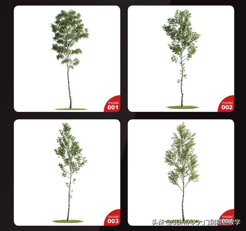 3dmax树木模型在哪里,3dmax植物树