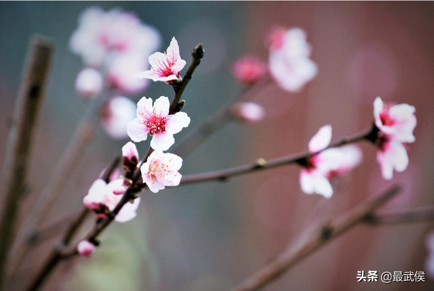 孩子开学生活步入正轨视频,开学后的校园生活
