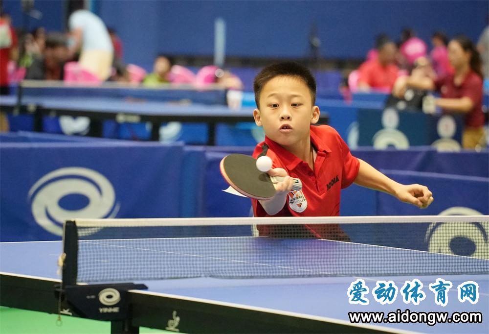 全国少儿乒乓球比赛时间表2020,全国少儿乒乓球锦标赛海南总决赛