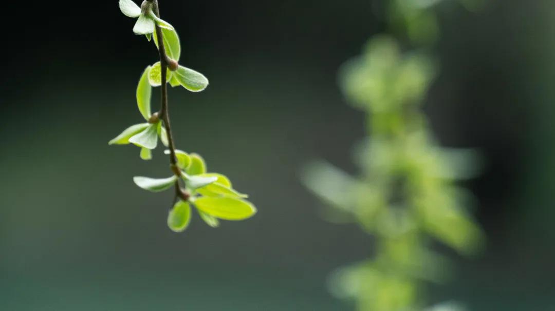 小孩吃热的肚子痛,宝宝吃凉的肚子痛解决办法