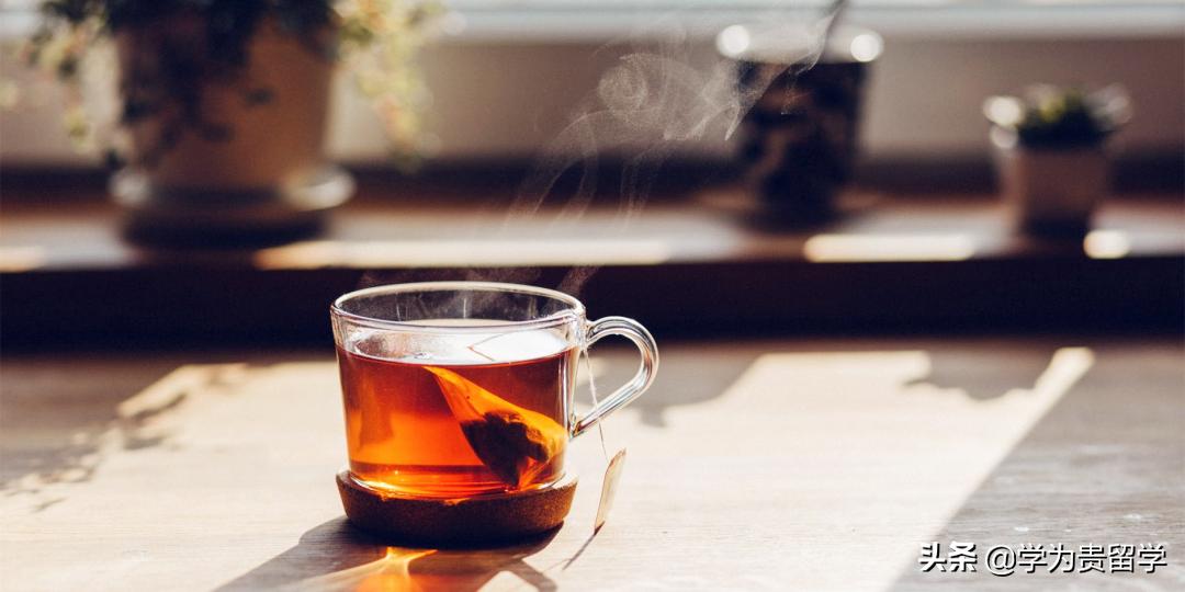 21岁硕士毕业、23岁读博，雅思仙子的留学经历太逆天了吧……