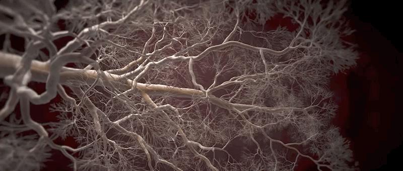 哮喘过敏症的症状,呼吸道过敏哮喘症状