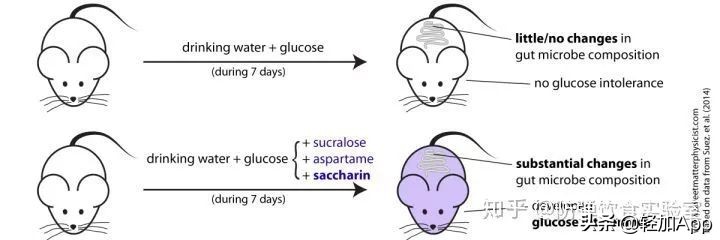 甜食重度患者,代糖就可以随便吃吗