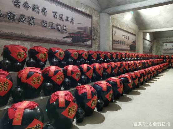 百年非遗老陈醋,醋百年古法传承