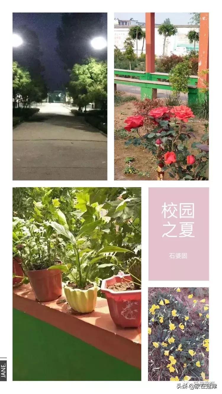 延津石婆固中心校,延津石婆固学校