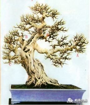 名师讲堂节选视频,名师课例分享及研讨交流