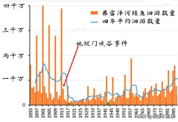 转基因鲑鱼,转基因大西洋鲑鱼