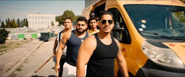 法国种族问题,法国种族问题的现状