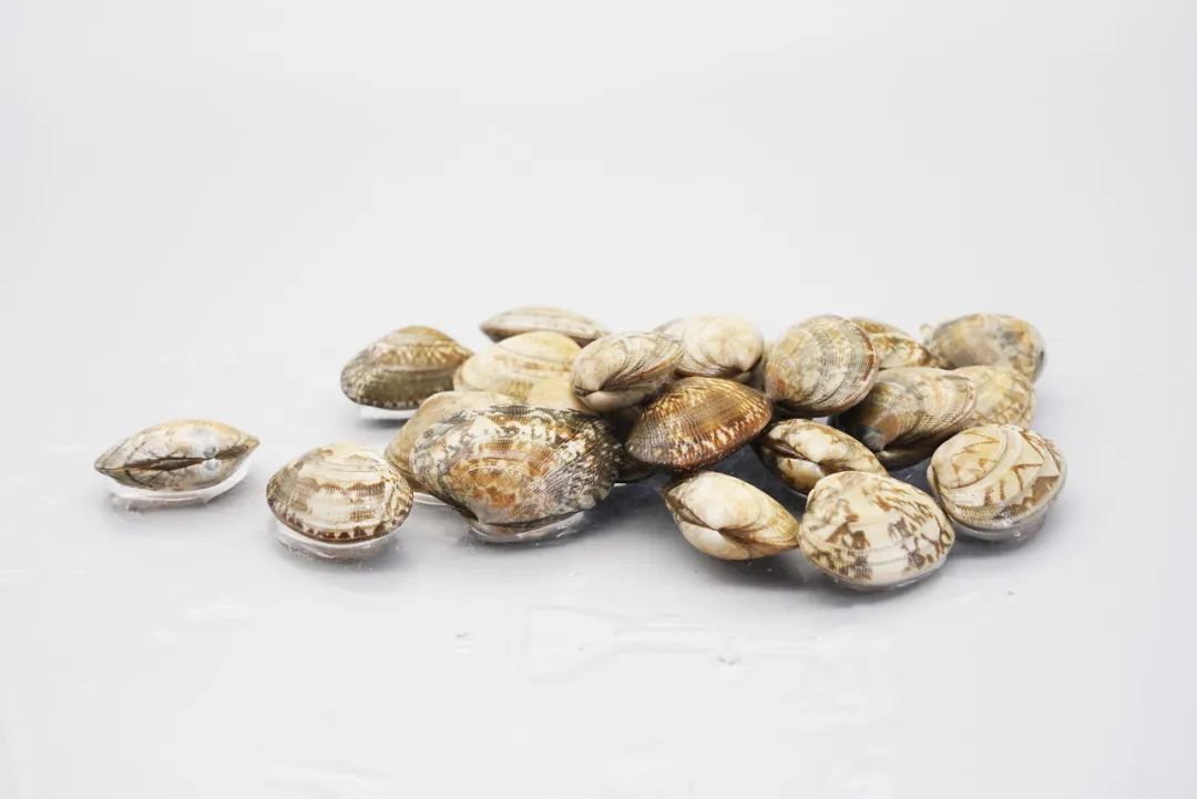 请依次用韩文读出来,请朗读并圈出元音不同的单词