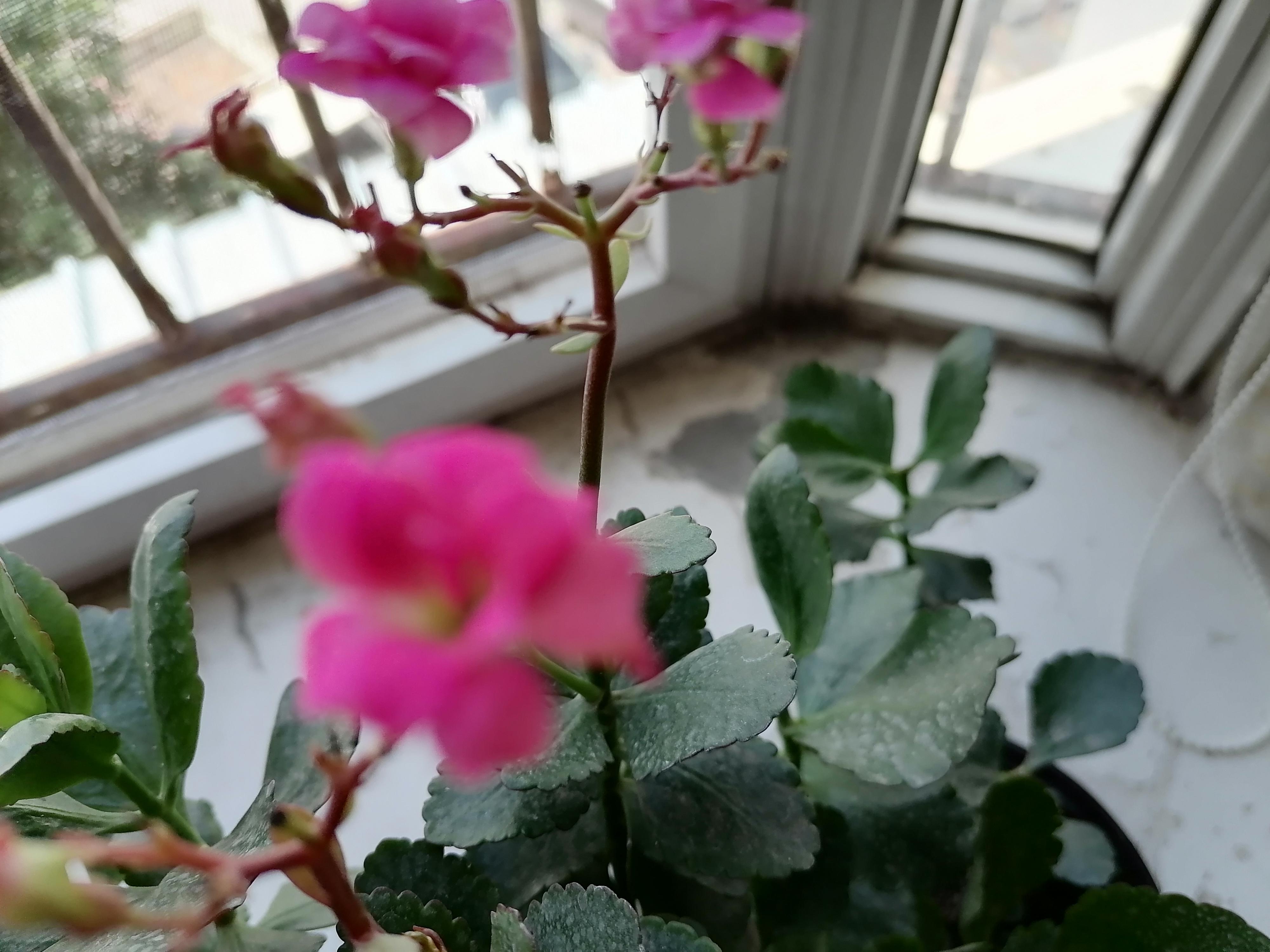 没有最好的只有最合适的,最合适的才是最好的英语翻译