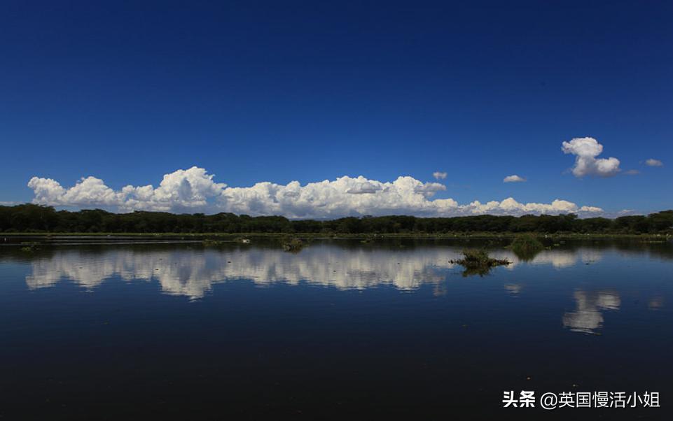 塞舌尔海滩风景视频,塞舌尔海岛完整版
