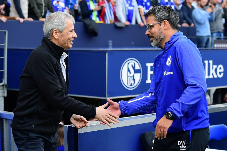 德甲归来,沙尔克04重返德甲联赛主场首秀