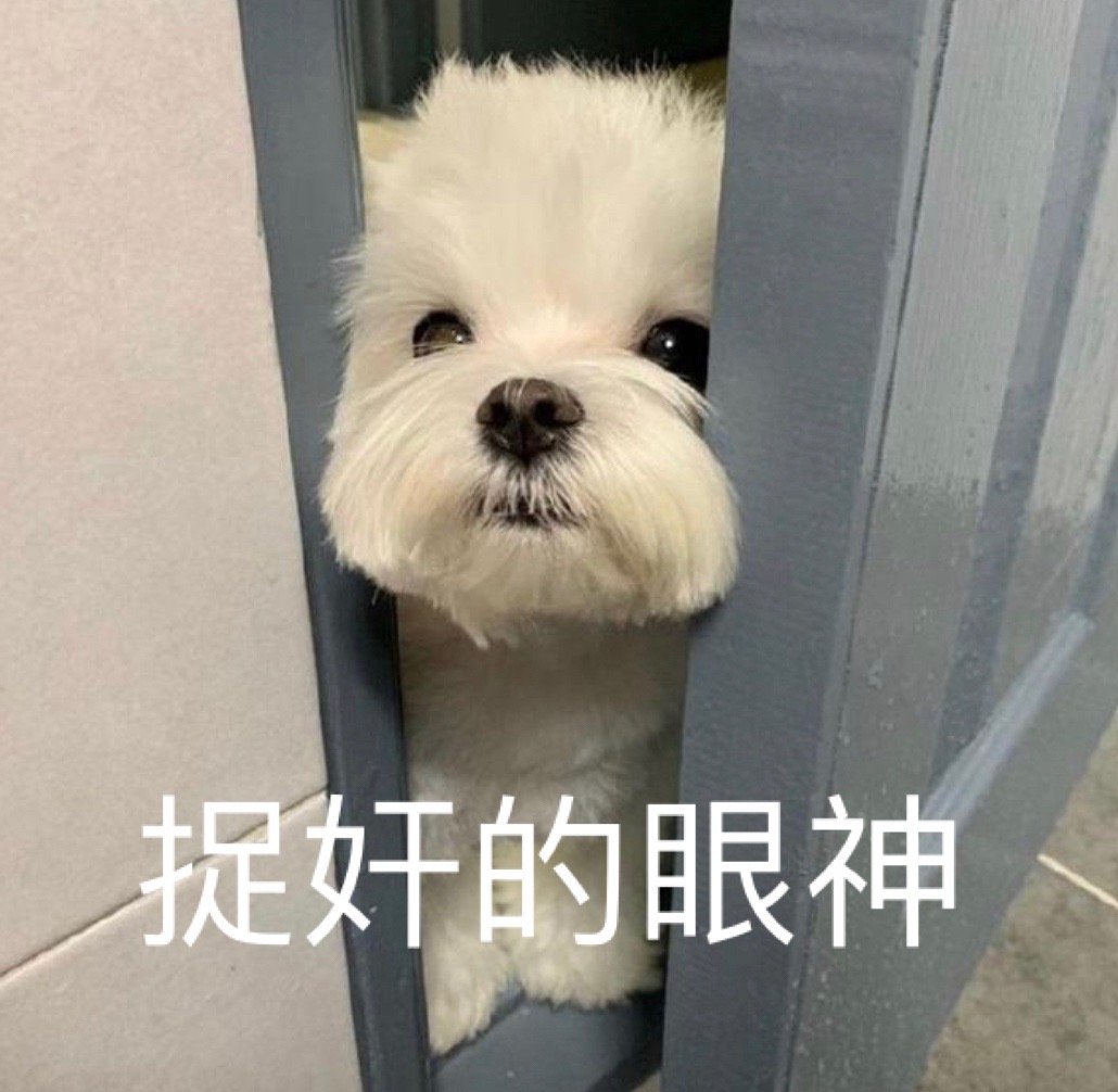 表情包你能亲亲我嘛,表情包你能拿我怎么办