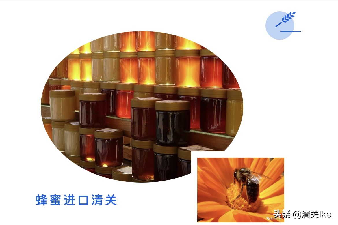 蜂蜜进口新西兰,蜂蜜进口报关代理费用