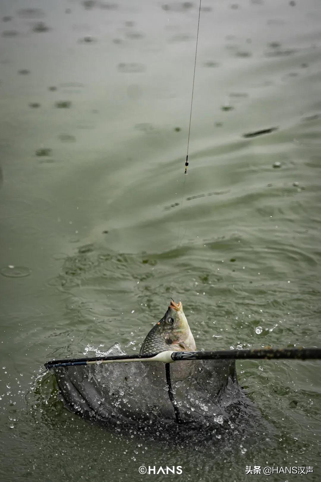 天元邓刚钓鱼属于什么水平,天元邓刚钓鱼最新视频现场