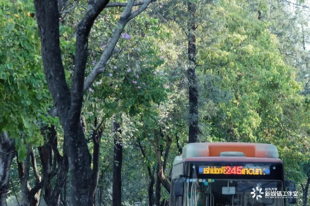 211逆袭北大,985211学霸