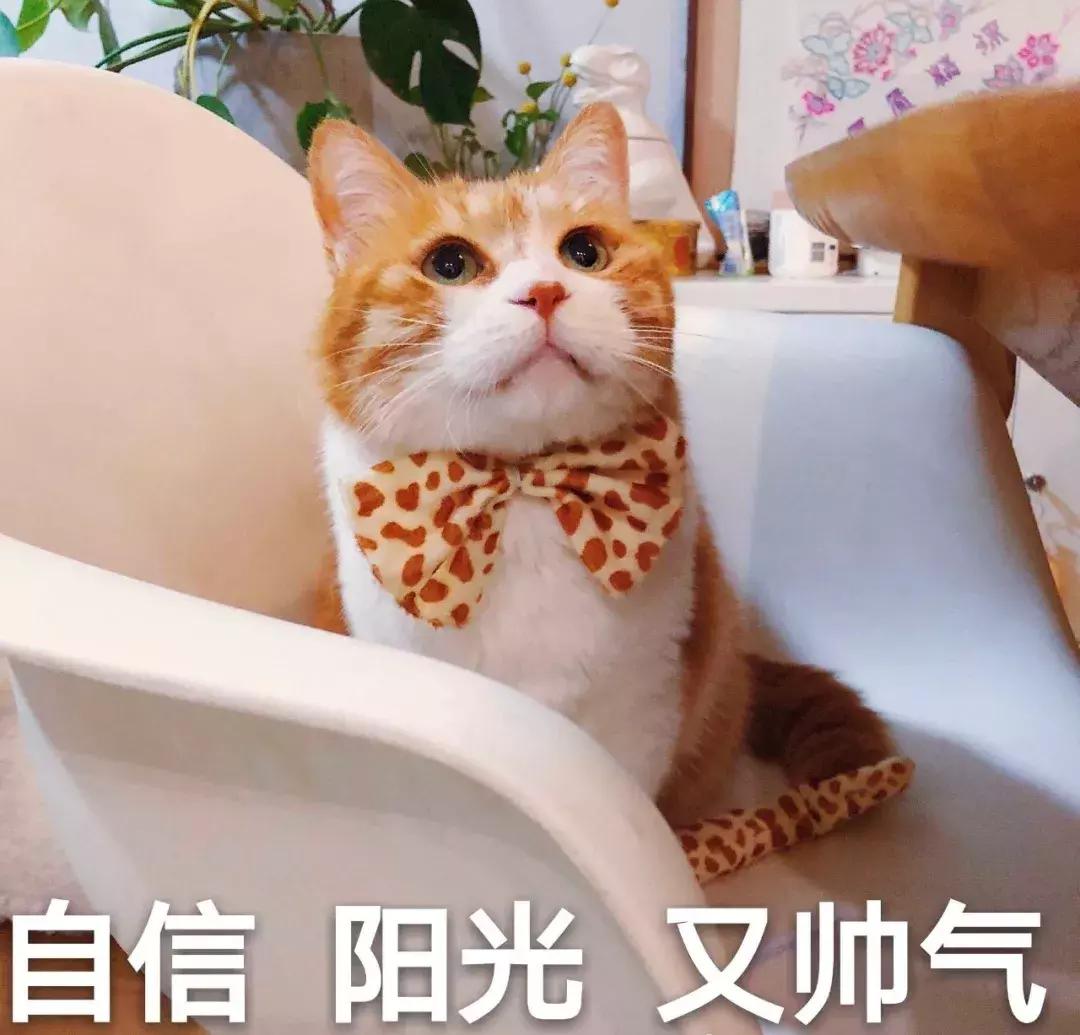 混吃等死、一夜暴富…现实给不了希望只能靠表情包续命