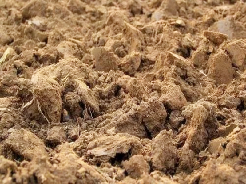 新移栽的树薄膜保温要不要透气,新栽树苗可以用什么灌根