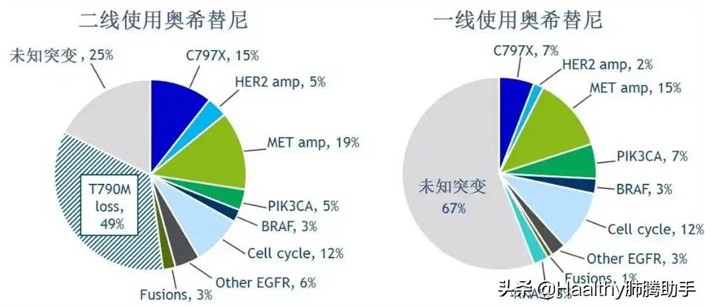 EGFR靶向药全面总结与展望-靶向治疗总结(二)
