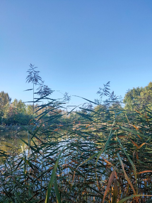 大连安波鸿缘温泉山庄,大连安波温泉民宿