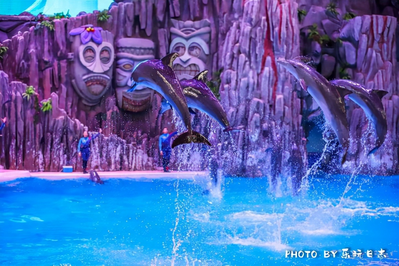 来珠海亲子必打卡景点，人工飘雪海洋动物表演，最适合周末亲子游
