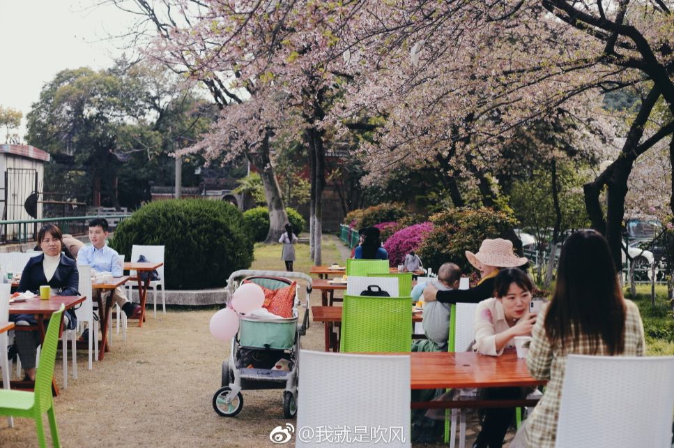 “我还没见过有那个城市的春天，能比武汉还美！”